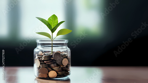 Green plant growing from coin jar on wooden table photo