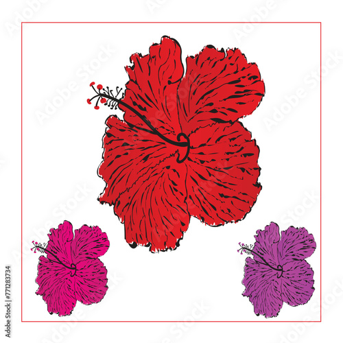 Vector template red Jaba Flower design. Jaba - Hibiscus rosa-sinensis ayurvedic herb digital art illustration