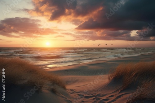 a windy beach with sand dunes and a beautiful sunset