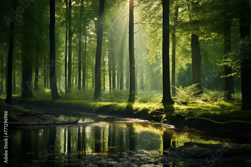 A lush green forest with a sunbeam shining through the trees, highlighting the beauty of nature