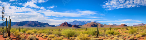 Panoramic photo of the Arizona desert with cacti and mountains, blue sky, green plants, red sand dunes