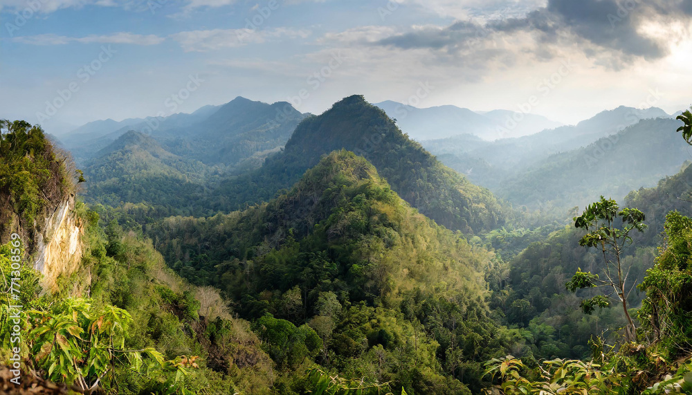 Panoramic views of green jungle mountains