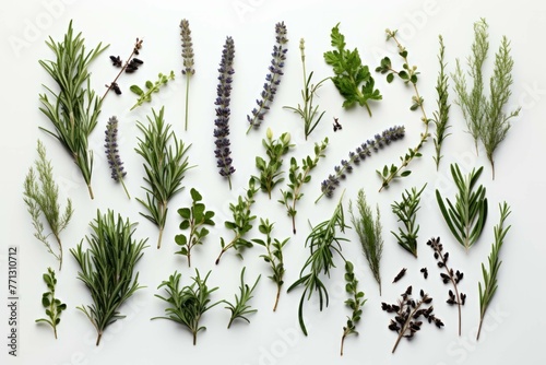 a picture of herbs on a white background with the cloves