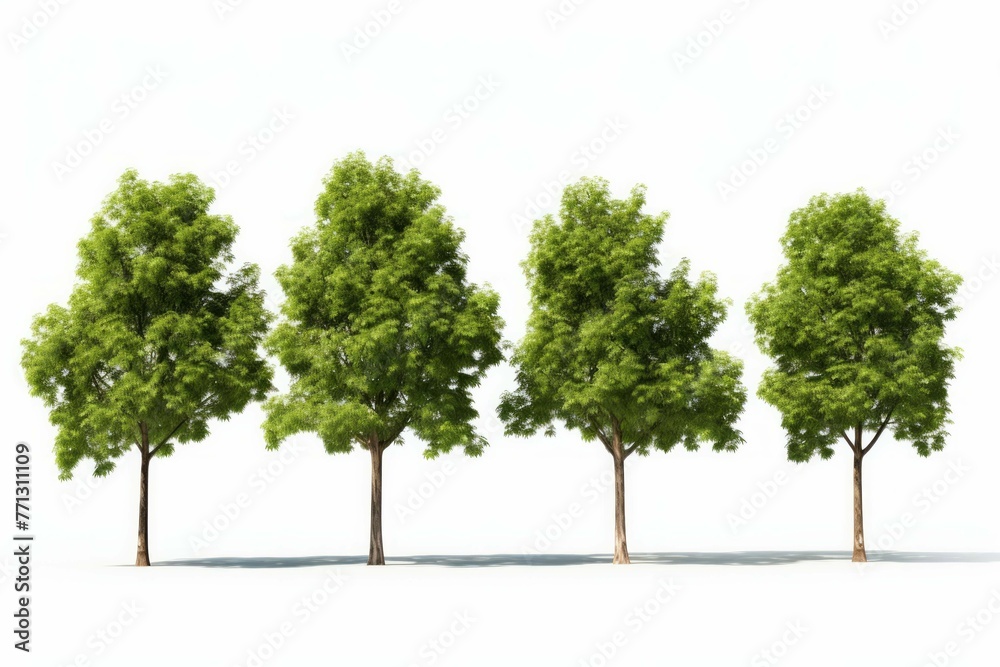 3d illustration of four tree models with multiple branches 3d illustration of four tree models with multiple branches
