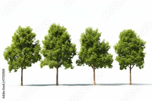 3d illustration of four tree models with multiple branches