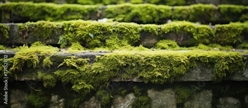 A garden featuring a stone ...