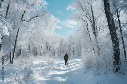 Walking on a snow-covered trail with trees and a blue sky.