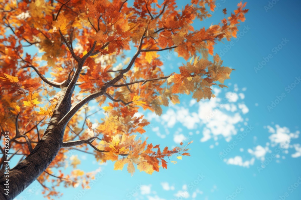Tree with vibrant autumn leaves against blue sky.