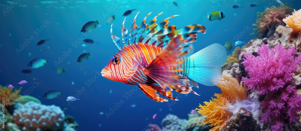 Fototapeta premium A solitary fish elegantly glides through the clear blue waters of the ocean