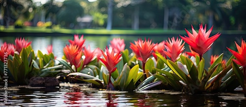 Vibrantly colored flowers a...