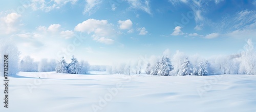 A serene winter scene with snow-covered trees under a clear blue sky with fluffy white clouds © vxnaghiyev