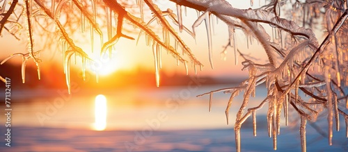 A serene scene of a tree br...