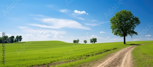 Scenic rural highway with w...