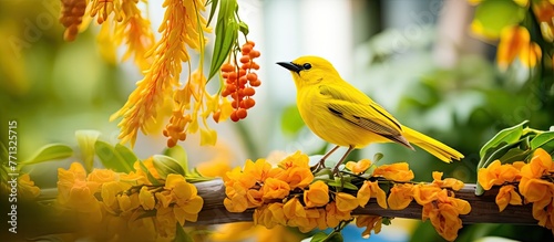 Yellow bird perched on a br...