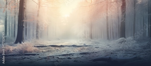 A winter scene in the forest with snow-covered trees, sunbeams cutting through branches, creating a serene atmosphere