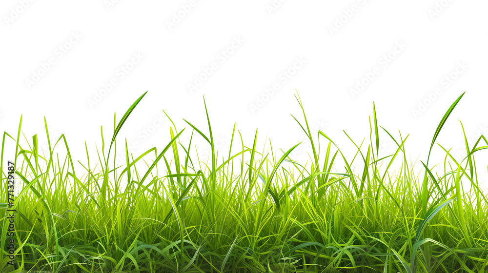Fototapeta premium Meadow with green grass in the foreground isolated on transparent background.