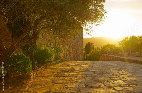 Fototapeta Naklejka Na Ścianę i Meble -  Spain. Coast of the Costa Brava. Catalonia. Streets of a small town. Old village in Spain. Charming old streets. A typical village with beautiful stone houses. Beautiful sunset