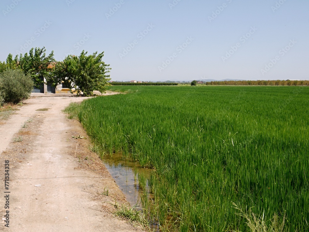 Typical Extremadura landscape, Spain Typical Extremadura landscape, Spain