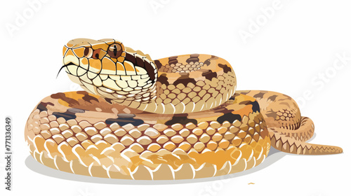 Cartoon rattle snake flat vector isolated on white background