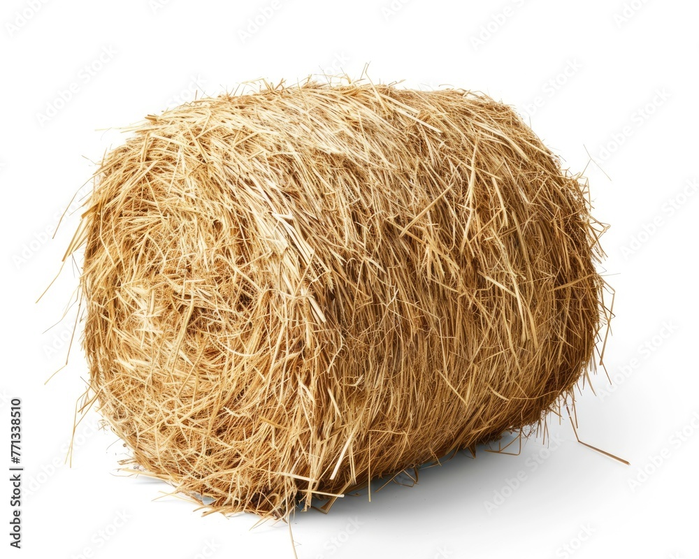 Single Bale of Hay Isolated on White Background - Farming and Agriculture Concept Image Single Bale of Hay Isolated on White Background - Farming and Agriculture Concept Image