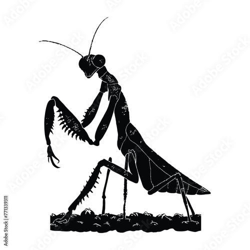 Praying Mantis Silhouette
