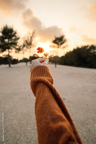 A hand in a cozy sweater holds a small flower up to the sky during a tranquil sunset.