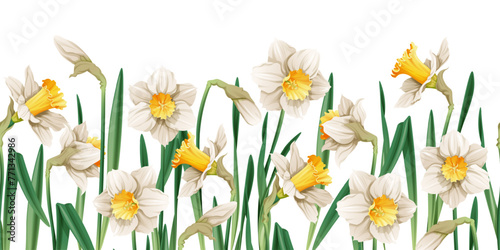Seamless border of narcissus flowers on an isolated background. Illustration with spring flowers for Easter. Suitable for decor, fabric, cards, backgrounds, wallpapers