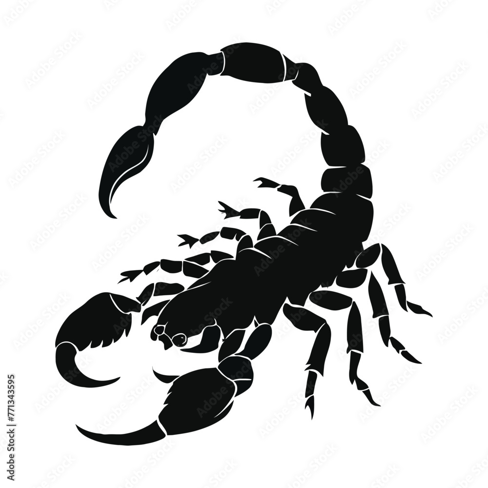 Scorpion Silhouette Scorpion Silhouette