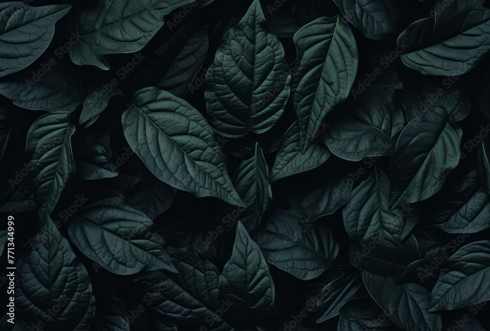 A leaf pattern forms a black wall background for a desktop, its lush scenery, mysterious backdrops, felinecore, and naturalist aesthetic apparent.