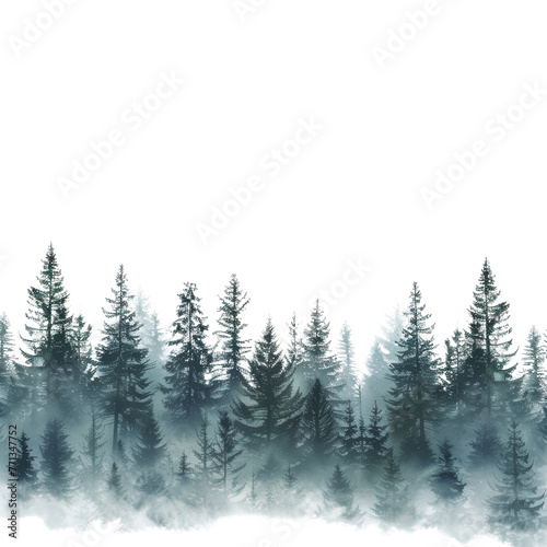 Green forest isolated on white or transparent background