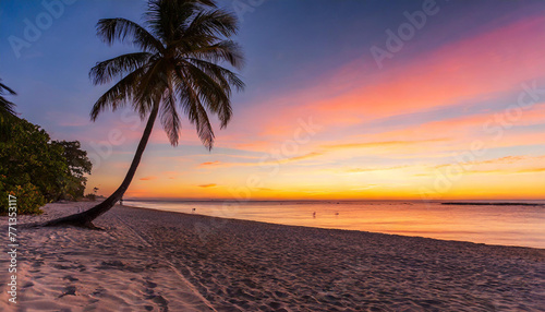 A sunset paints the sky in hues of orange pink over a tranquil beach with a palm tree swaying gently