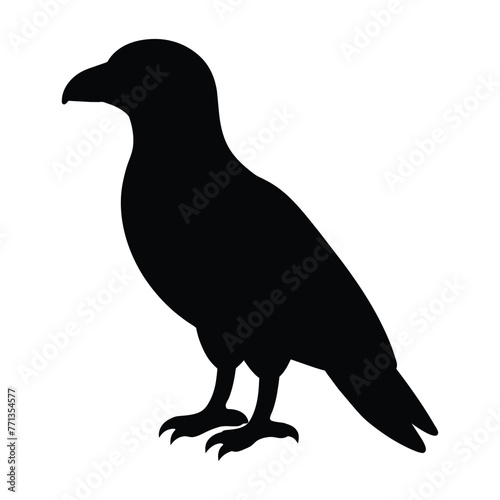 silhouette of a predatory bird on white