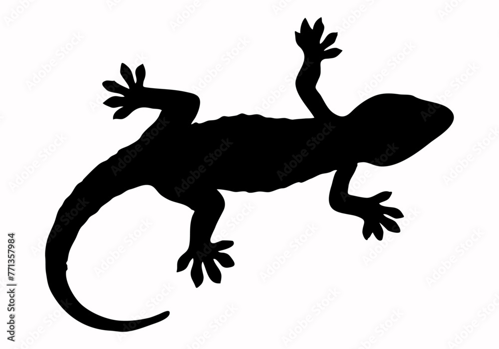 Naklejka premium Silueta negra de lagarto en fondo blanco.