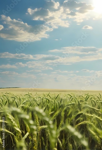 Experience the tranquil beauty of a sun-kissed wheat field in full bloom. Lush greenery  swaying wheat  and a soft sky backdrop create a serene scene of abundance and vitality.