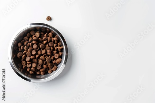 Metal pet bowl with dry dog food on white background  space for text  Bowl of kibble food