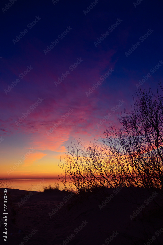 A beautiful spring sunset landscape at the Baltic sea beach with bare bush silhouettes against the colorful sky. Seaside scenery in Northern Europe.