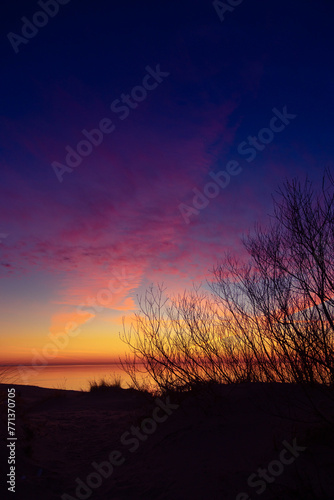 A beautiful spring sunset landscape at the Baltic sea beach with bare bush silhouettes against the colorful sky. Seaside scenery in Northern Europe.