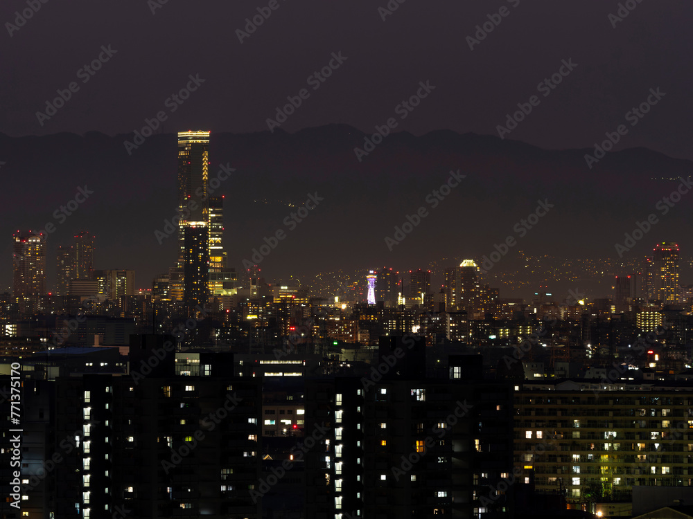 高台から見る大都市の夜景