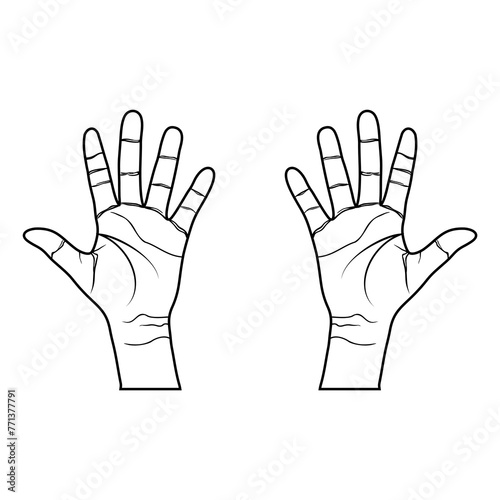 right hand left inner showing 5 fingers, raising 5 fingers black and white, tangan kanan kiri bagian dalam menunjukkan 5 jari, mengangkat 5 jari