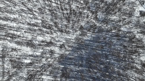 Aerial establishing shot of Japan snowy valley near the Nagano Myoko Yamanochi region. Top down shot of camera slowly flying over forest, high angle photo