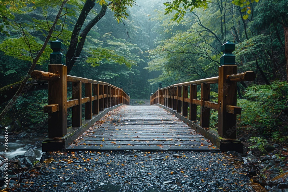 Obraz premium pathway and a wooden bridge in the middle of a forest