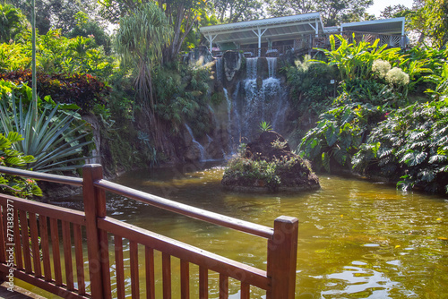 Jardin Botaniqu de Deshaies, botanical garden with flora and fauna in Guadeloupe, Caribbean, French Antilles photo