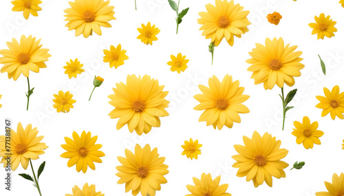 yellow flowers background