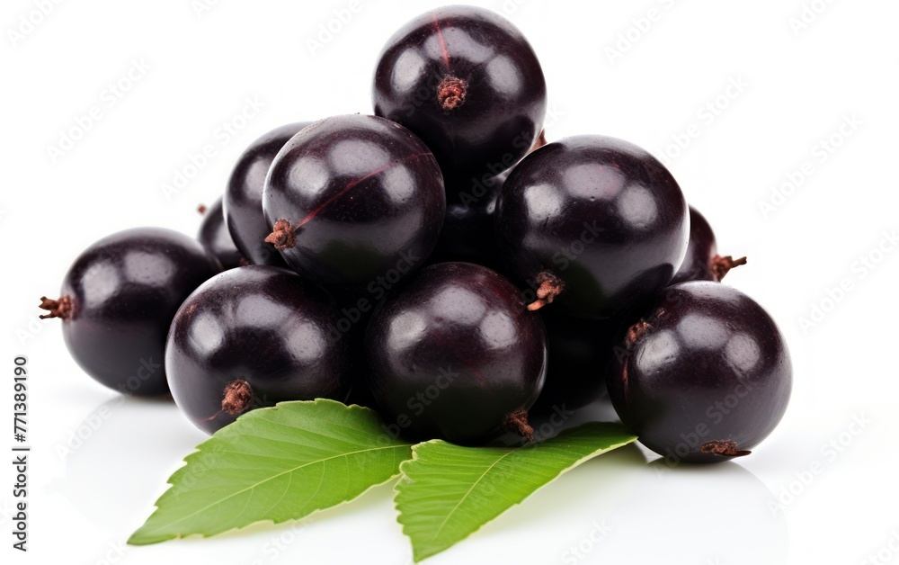 Fototapeta premium An enticing image of plump, freshly picked black grapes with bright green leaves suggesting natural sweetness and gourmet food