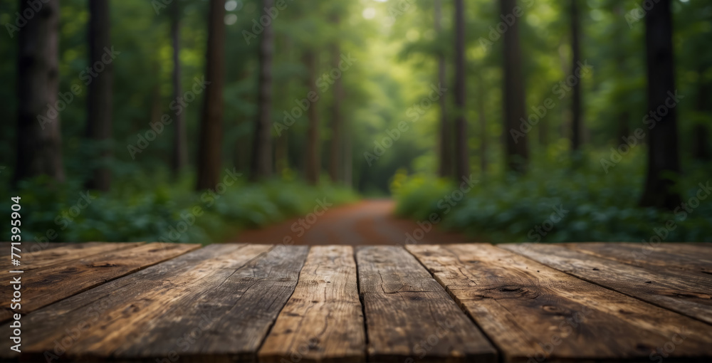 forest view with wooden table for mockup product display forest view with wooden table for mockup product display