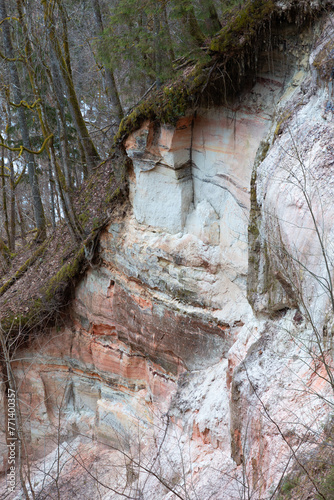 A beautiful sandstone cliff wall with small caves in Gauja National Park, Latvia. Springtime scenery in Northern Europe.