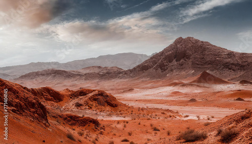 Landscape of desert with mountains on red planet Mars. Orange sand and gray sky © hardvicore