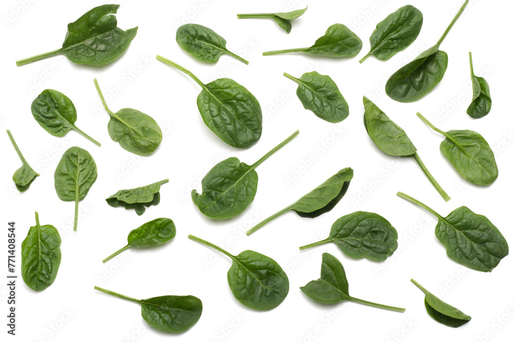 spinach leaves isolated, png file spinach leaves isolated, png file