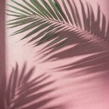 Whispers of Nature: Blurred Palm Leaf Shadows on Light Pink Wall