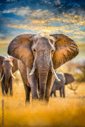 Majestic Serenity: Close-Up Portrait of African Elephant in Natural Habitat